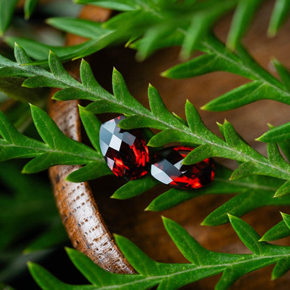 Pyrope Garnets